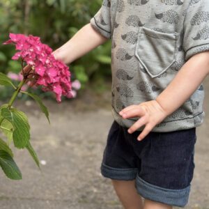 E-Book Kurze Hose BeinHalbRein mit Knopflochgummi